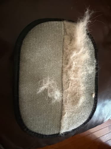 Review by Amanda L