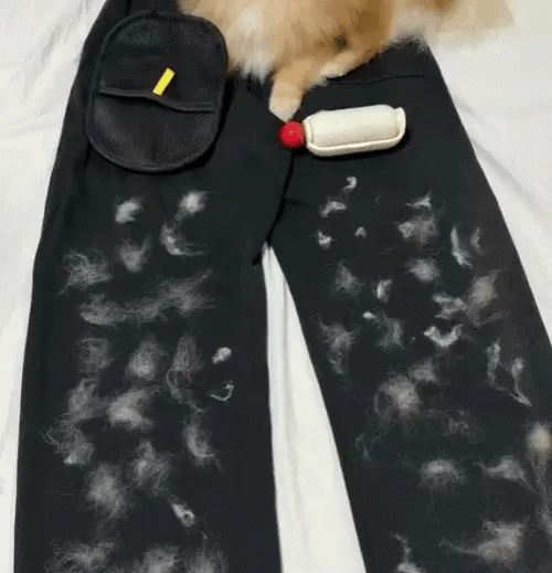 Feature product image